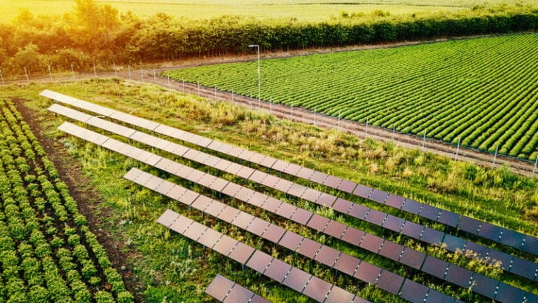 Agrivoltaic Innovations: France’s New Guidelines and the Future of BIPV Solar Panels